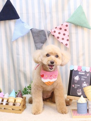 20250522モンチちゃん